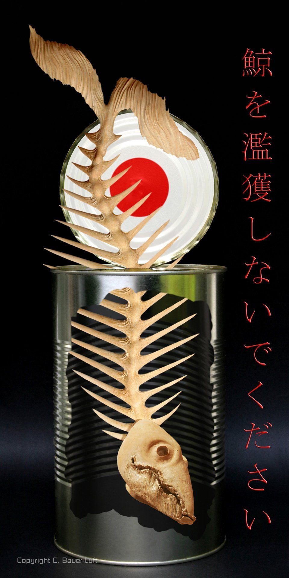 Photoshop Collage - Stoppt Wahlfang