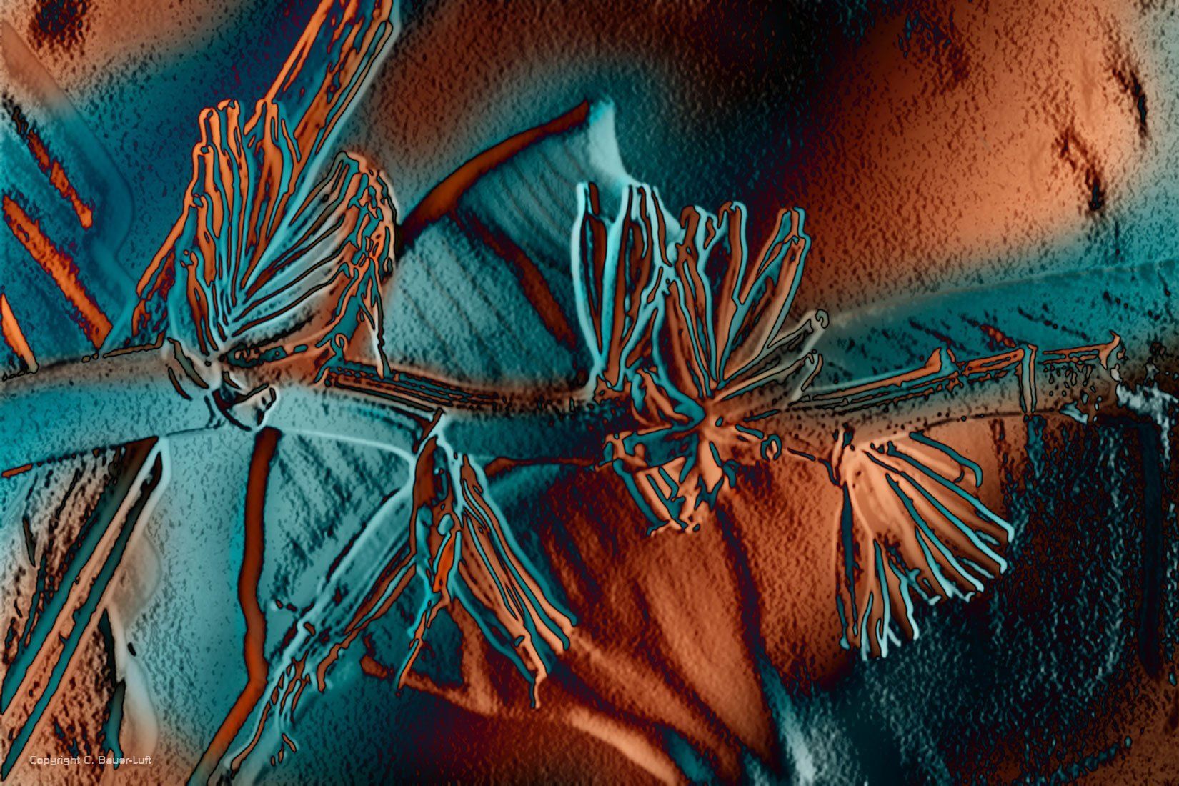 Floral-Collage Banane, Photoshoparbeit.