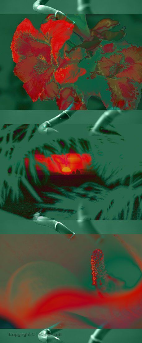 Floral-Collage exotische Pflanzen, Photoshoparbeit.