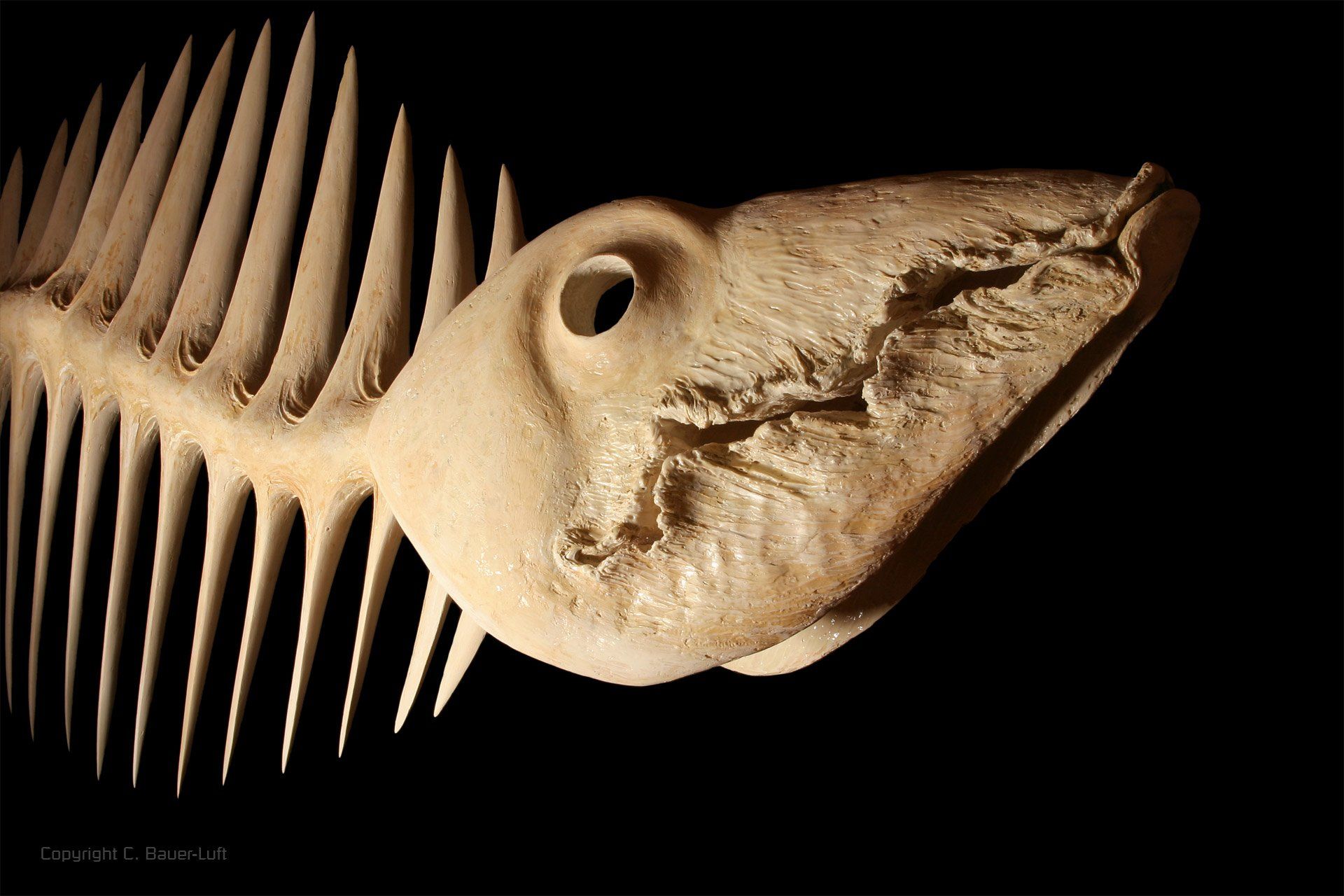 Produktaufnahme Kunstwerk, Cornelia Bauer-Luft, Fotografie + DTP, Mediengestaltung