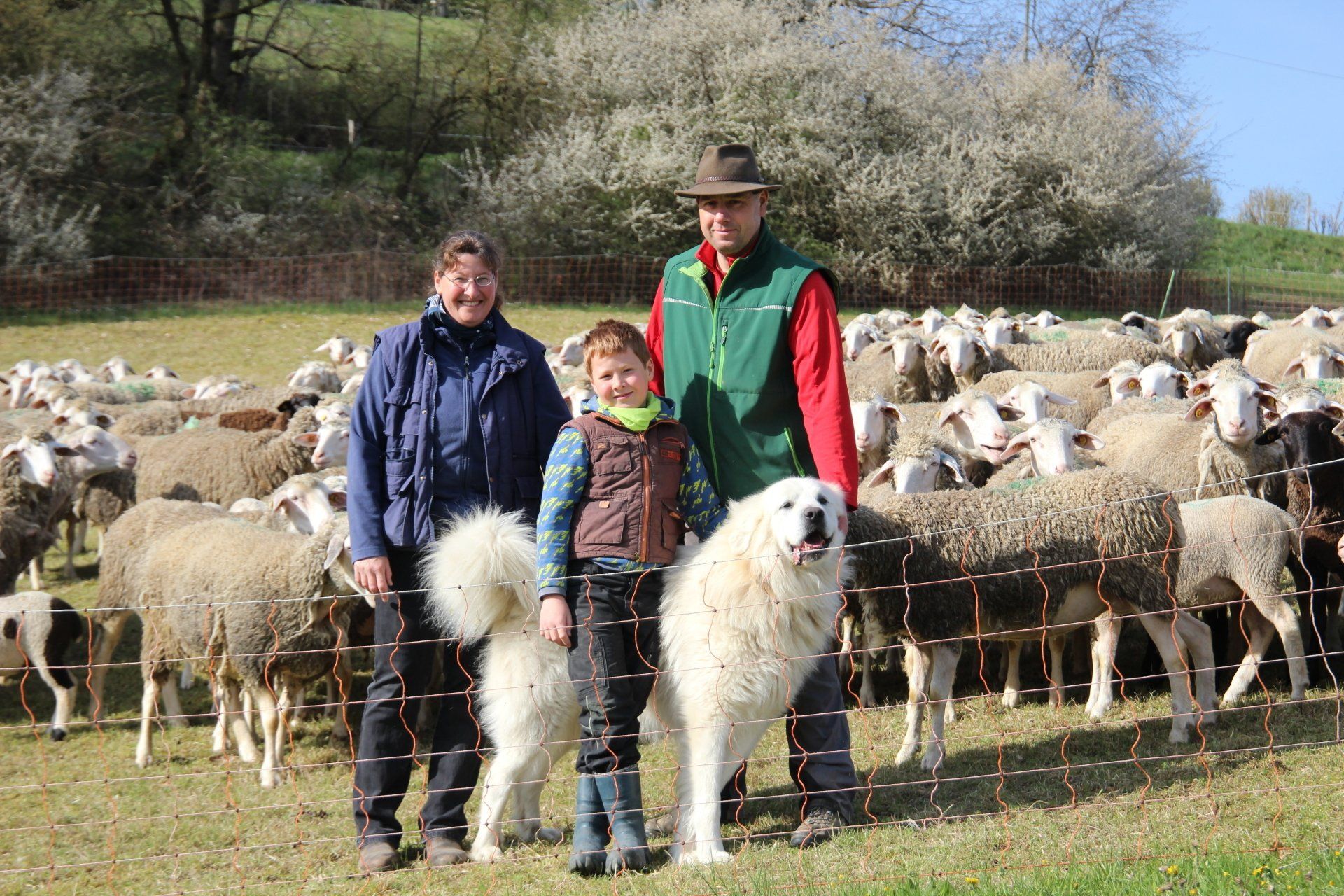 Ein Schäfer mit seiner Familie inmitten einer Schafherde und mit einem Herdenschutzhund.
