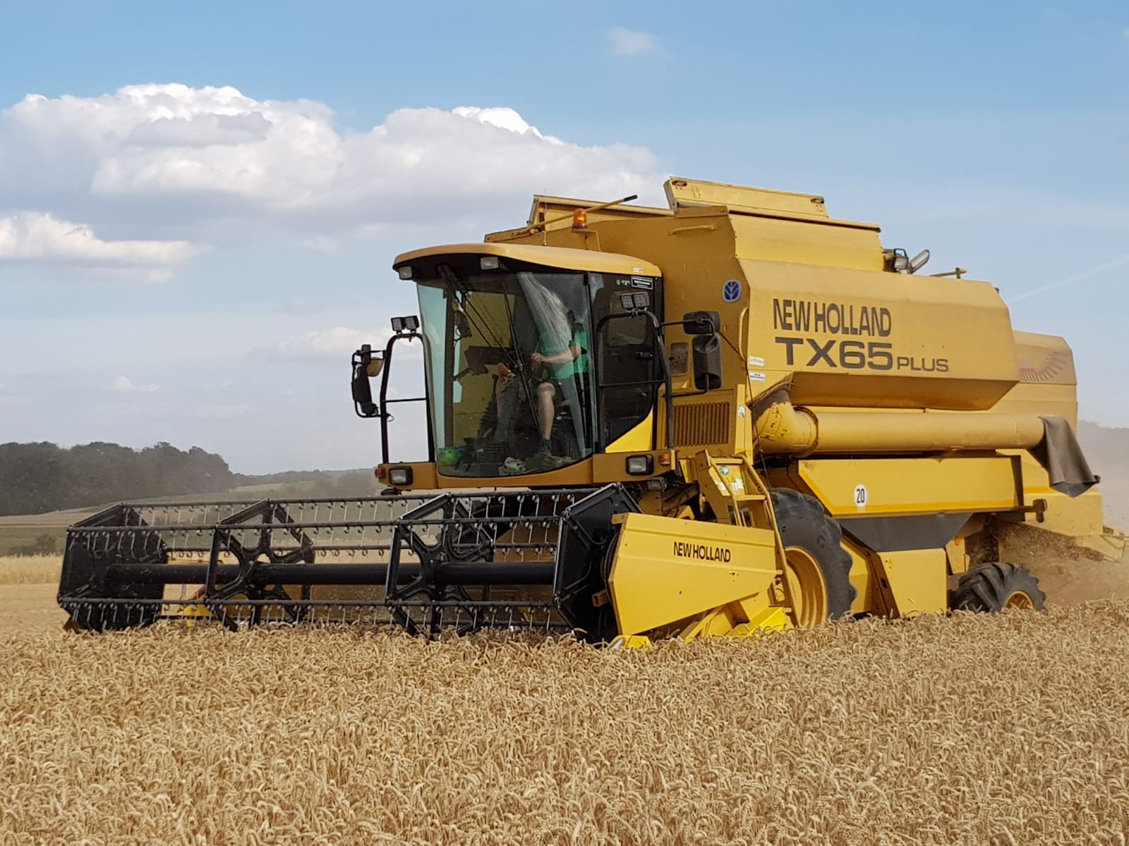 Mähdrescher auf einem Kornfeld bei der Ernte