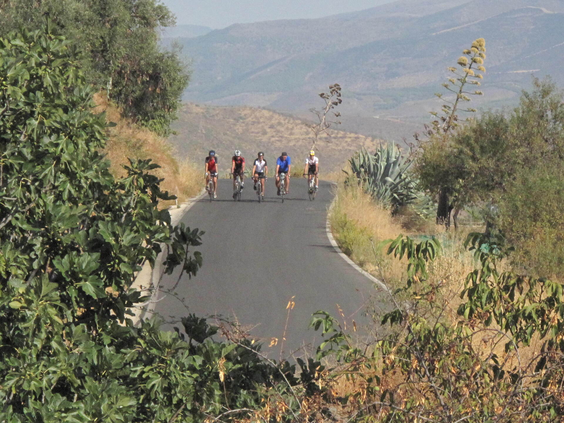Sierra Nevada  Almeria Rennrad racebike bicicleta de carretera Almeria Bike Tours