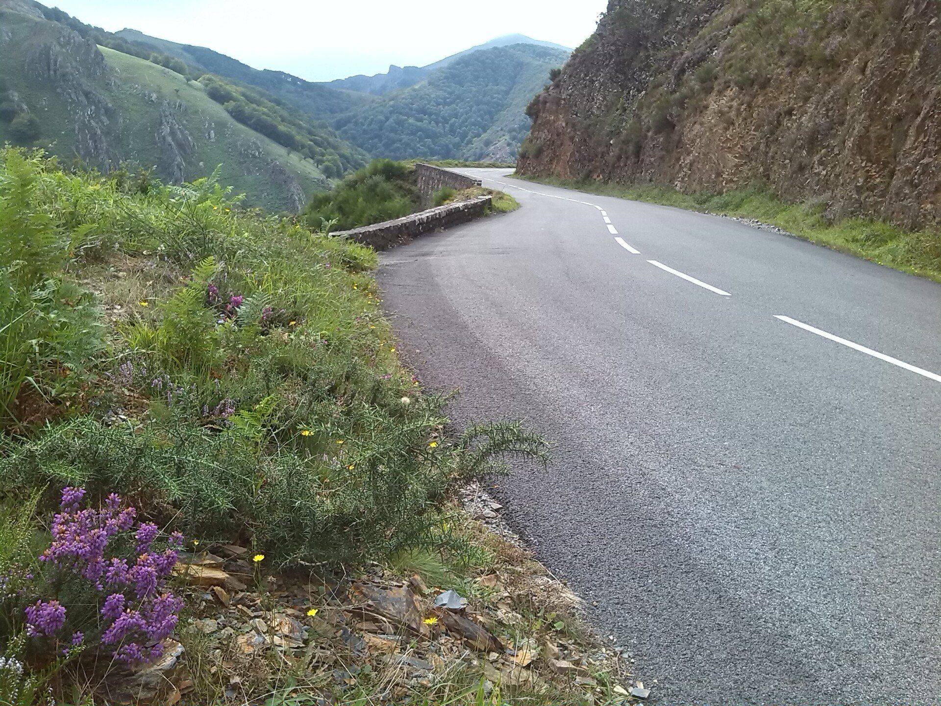 Pyrenees Pyrenäen Pais Basque Baskenland Pais vascoRennrad Racebike Almeria Bike Tours