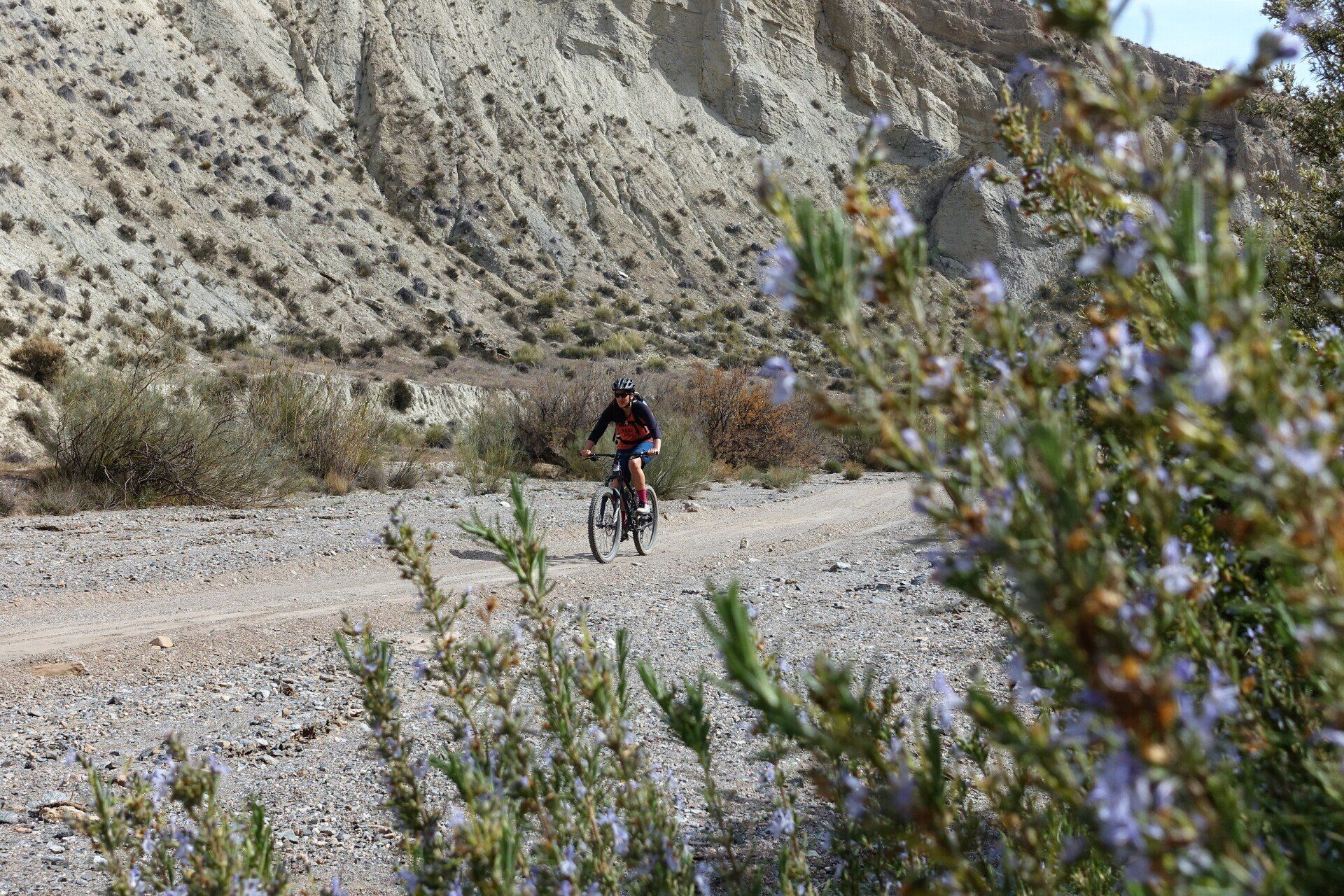Sierra Nevada Mountainbike El Desierto Almeria Bike Tours