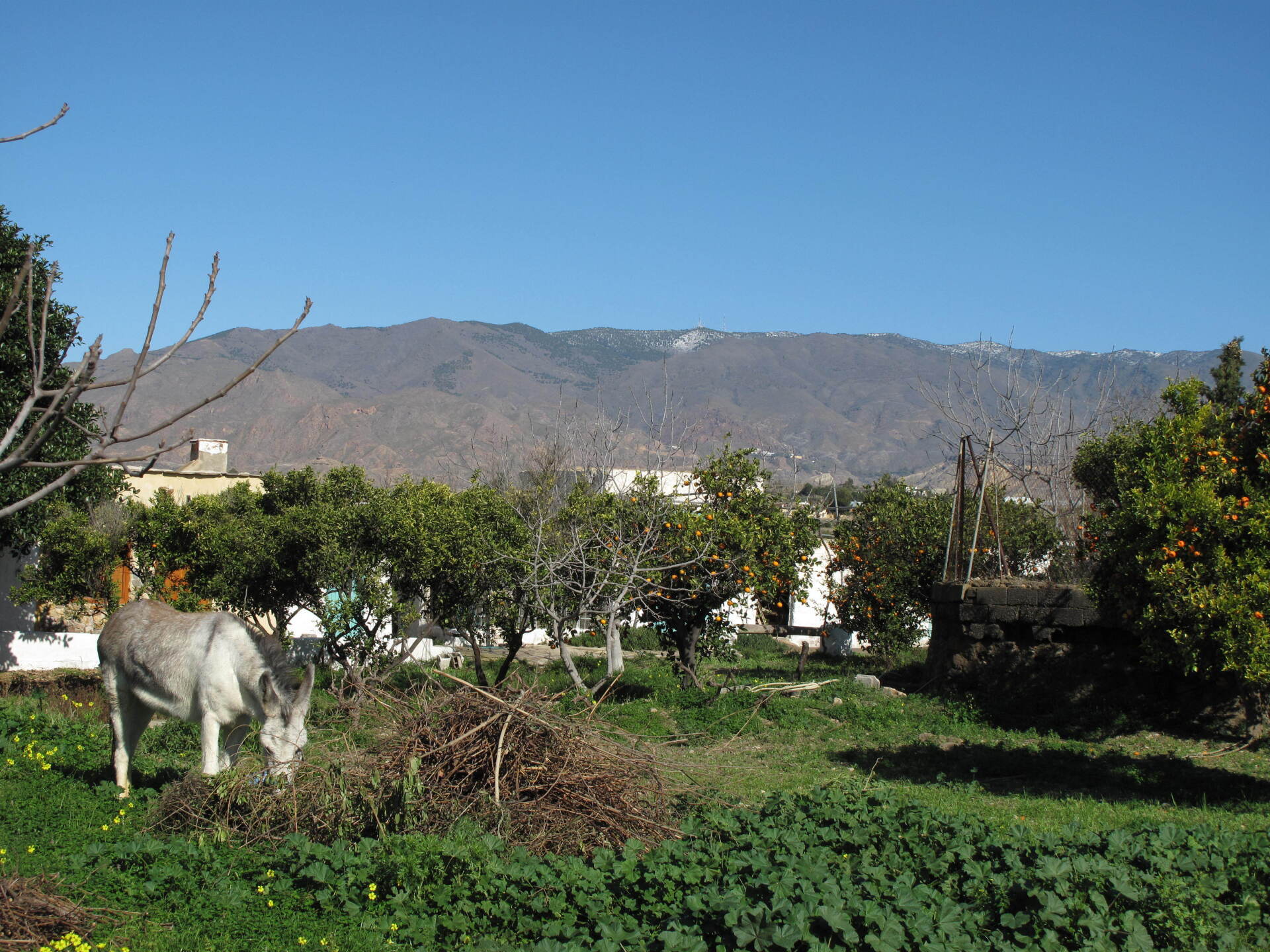 Sierra Alhamilla Bikestation Almeria Rennrad racebike bicicleta de carretera Almeria Bike Tours