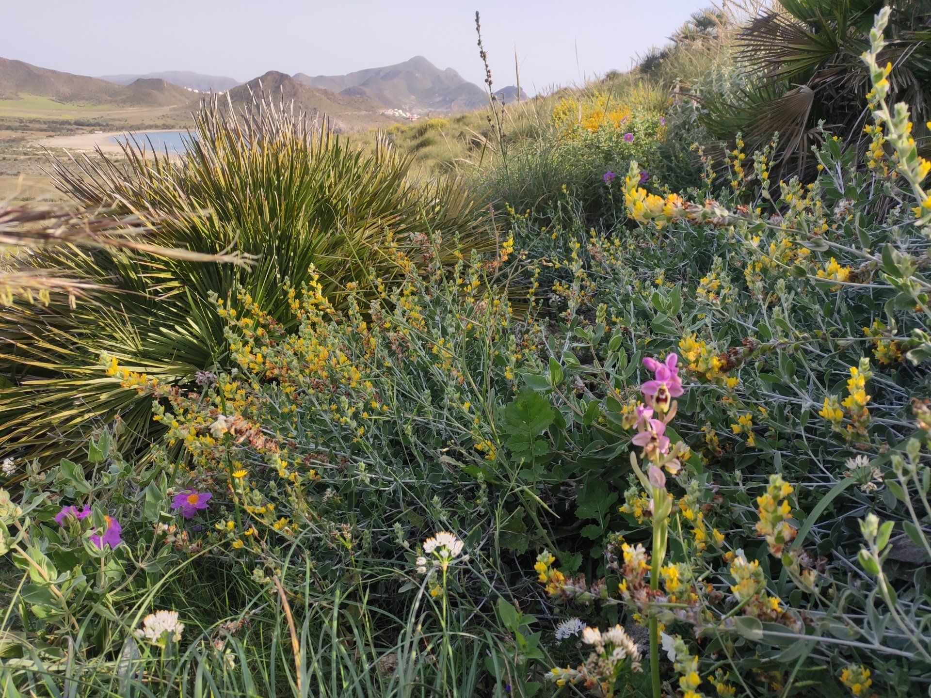 Parque Natural Cabo de Gata , wandern, hiking, senderismo,  almeria bike tours