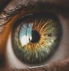 Photo by Lina Trochez on Unsplash systeische therapie, bei der hand nehmen