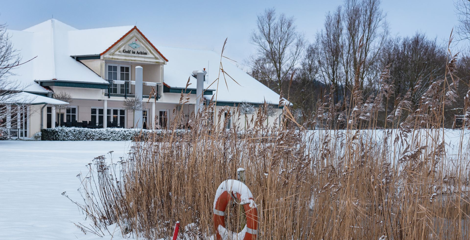 Wachtelkönig im Schnee