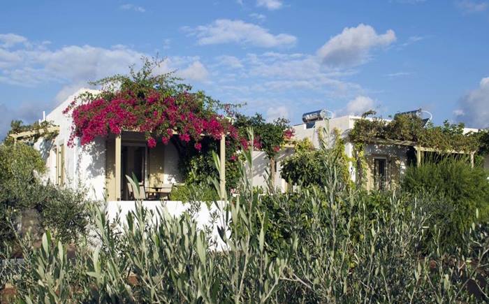 Glaros Studios, Windsurfrevier Palekastro