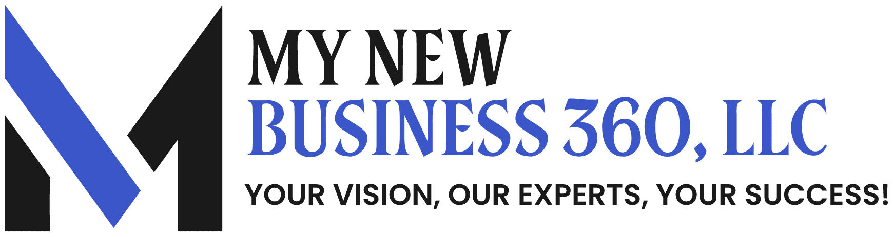 My new business 360 LLC transparent logo