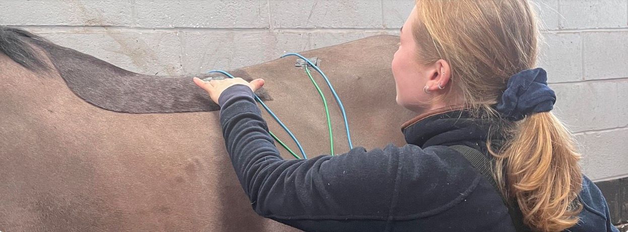 Kate Akers Massaging Horse