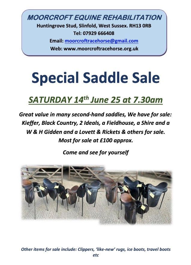 Dr Sue Dyson Talk - Moorcroft Equine Rehabilitation Centre