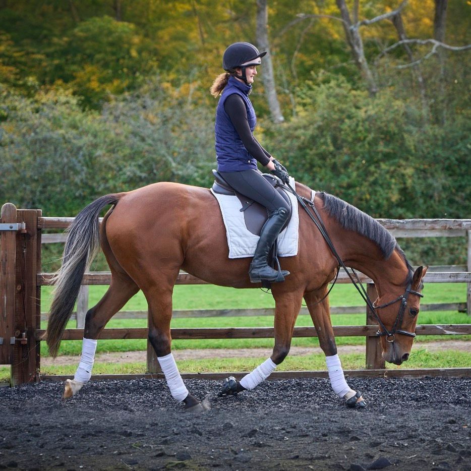 Moorcroft Equine Rehabilitation Centre - riding chestnut ex-racehorse