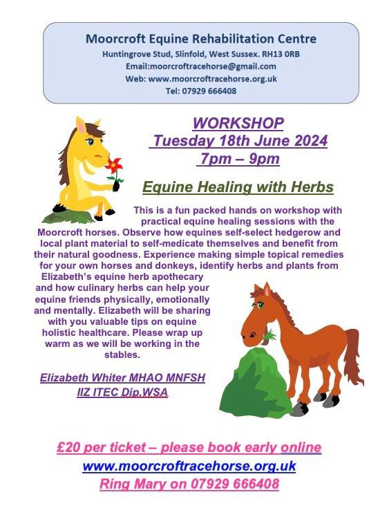 Elizabeth Whiter Hedgerow Herbs Event