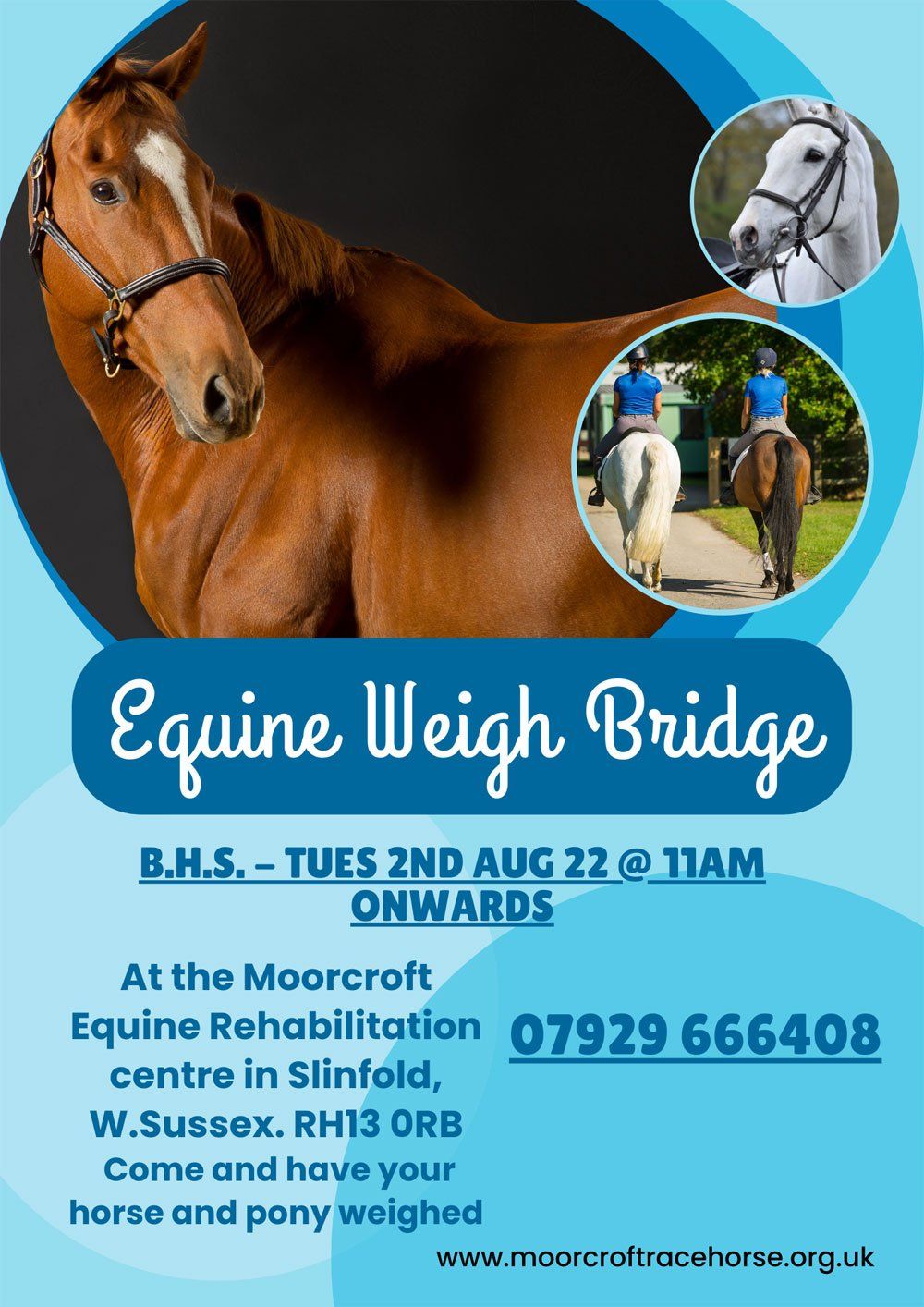 Dr Sue Dyson Talk - Moorcroft Equine Rehabilitation Centre