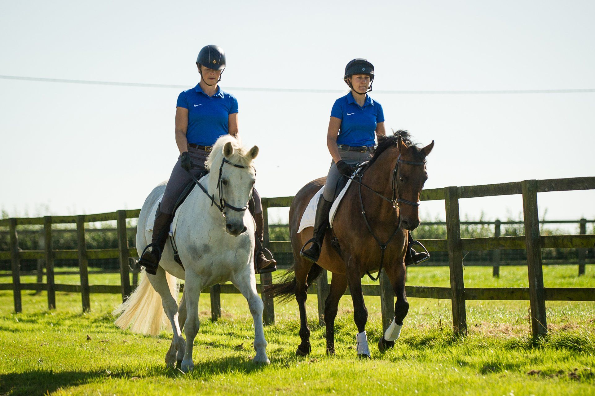 Ex-Racehorses - Moorcroft Equine Rehabilitation Centre