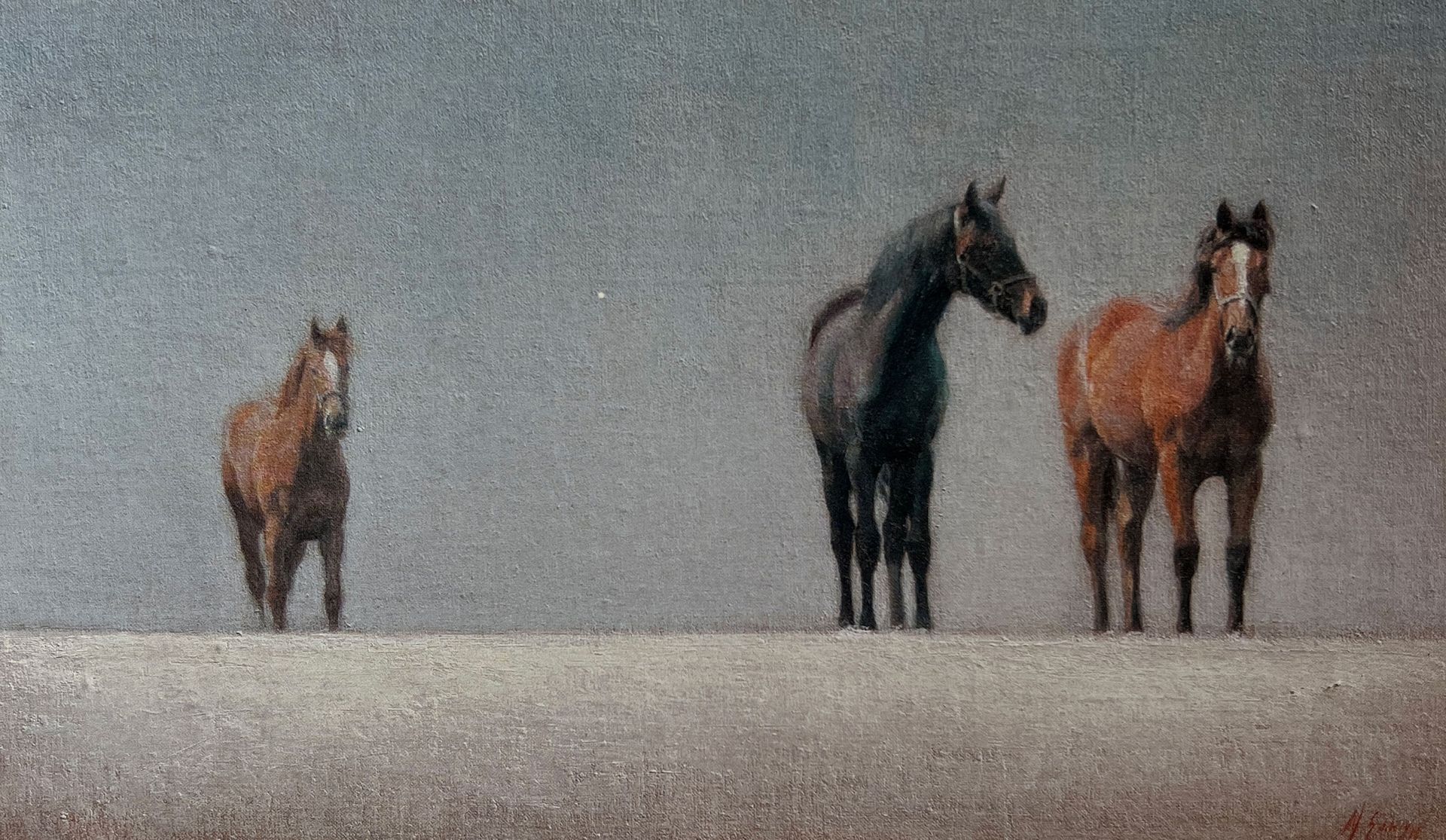 Kate Akers Massaging Horse