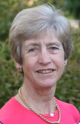 Dr Sue Dyson - Moorcroft Chief Veterinary Advisor