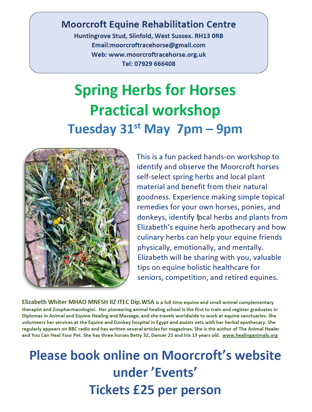 Elizabeth Whiter Hedgerow Herbs Event