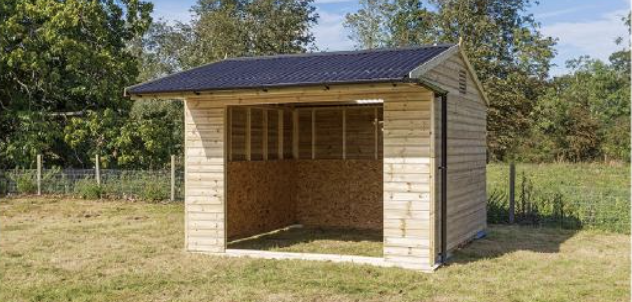 Kate Akers Massaging Horse