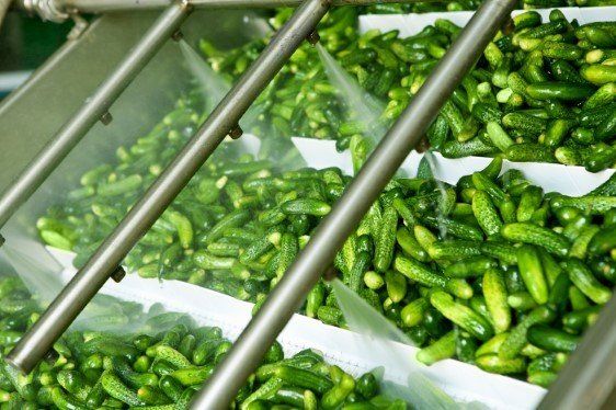 Industrial disinfection of fruit and vegetables