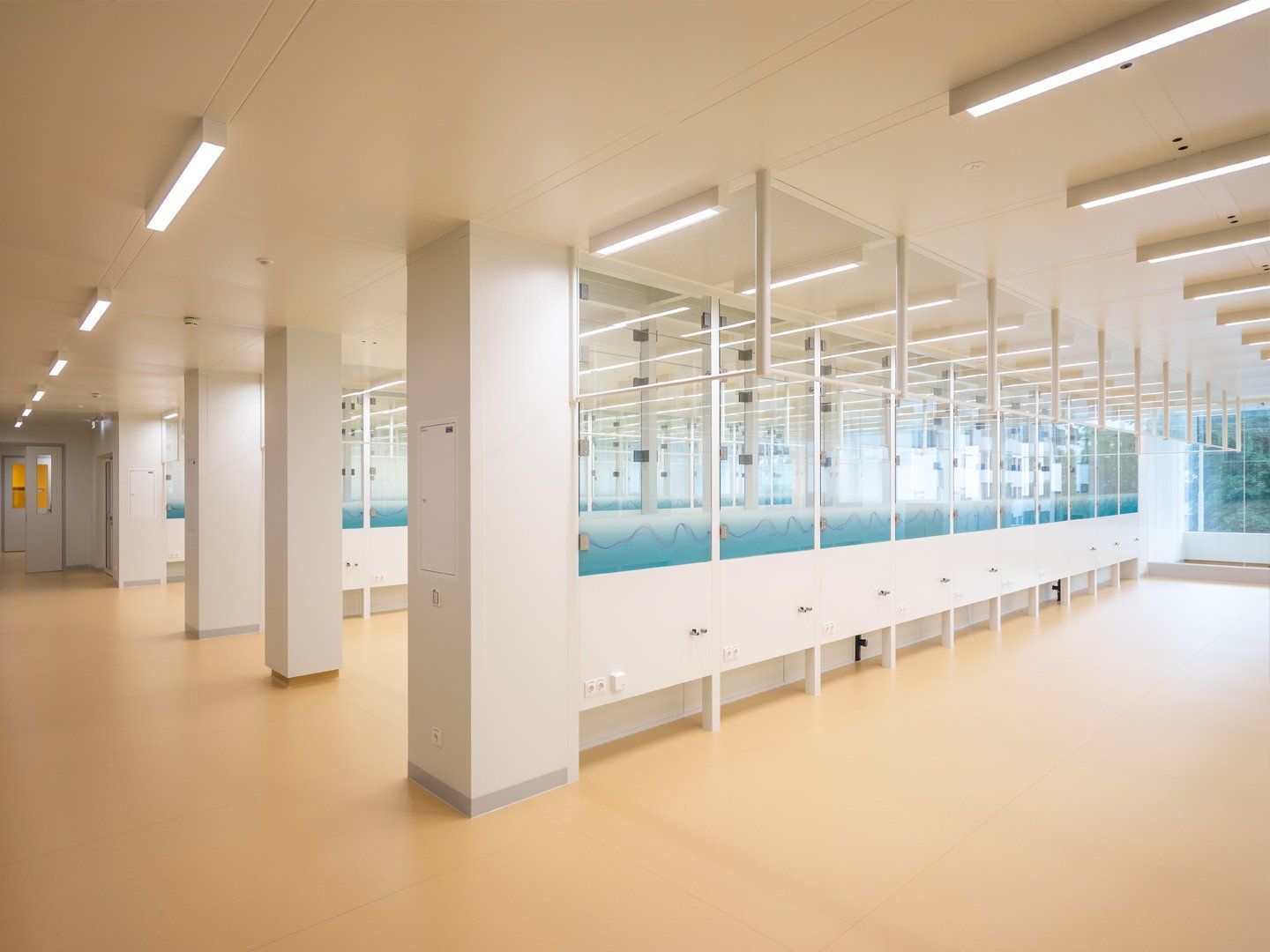 Reinraumdesign_Bahm_Farbgestaltung