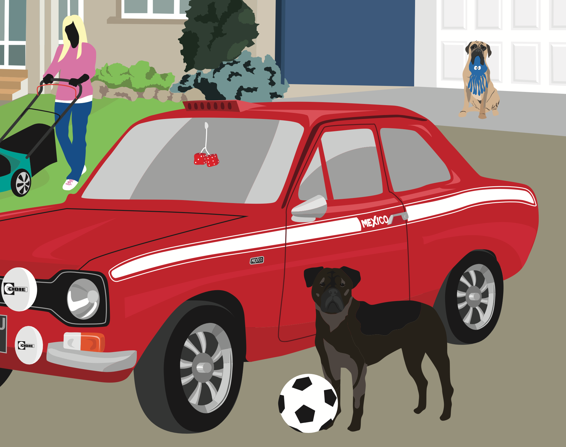 classic ford escort mexico with two bullmastiffs with a football.