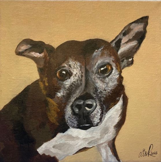 pet portraits in acrylic paints.