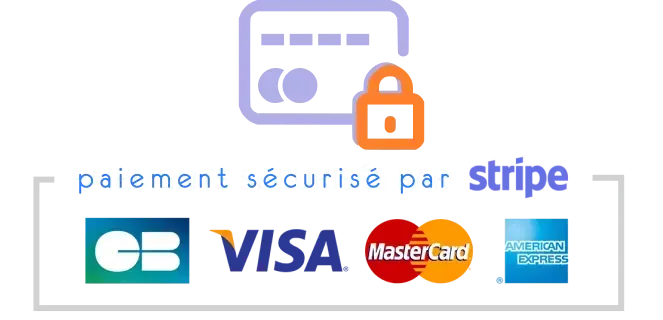 Moyen de paiement carte bancaire, visa, maestro, virement bancaire