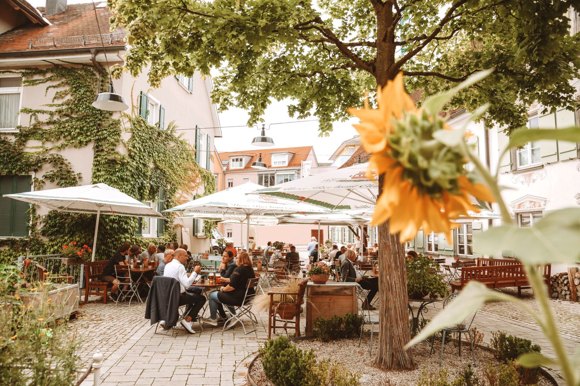 Biergarten