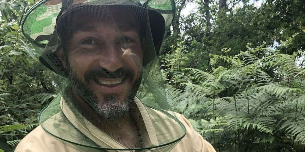 Les Apis Mellona se portent bien