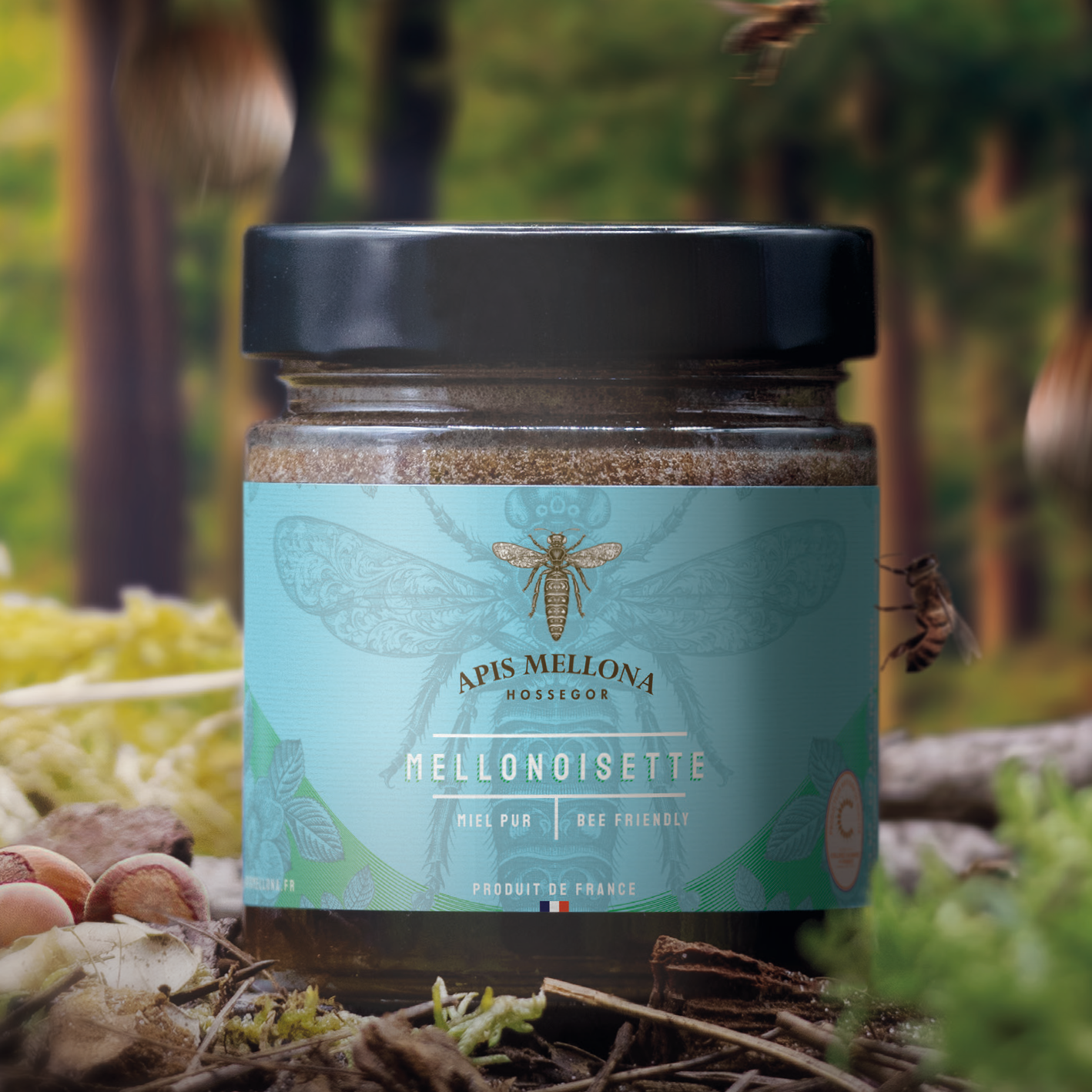 Mellonoisette pâte à tartiner noisettes et miel