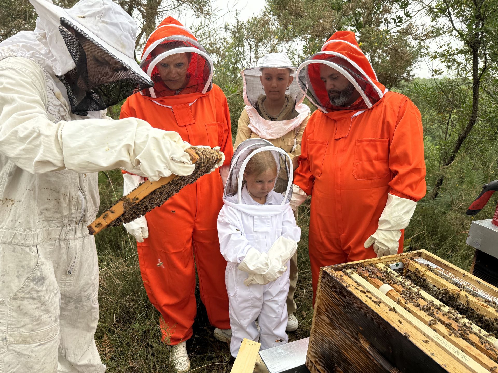 Ateliers découverte apiculture