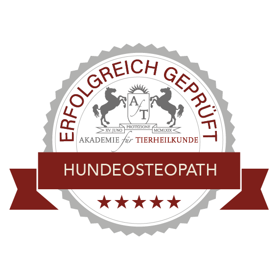 geprüfter Hundeosteopath erfolgreich geprüfter Hundeosteopath
