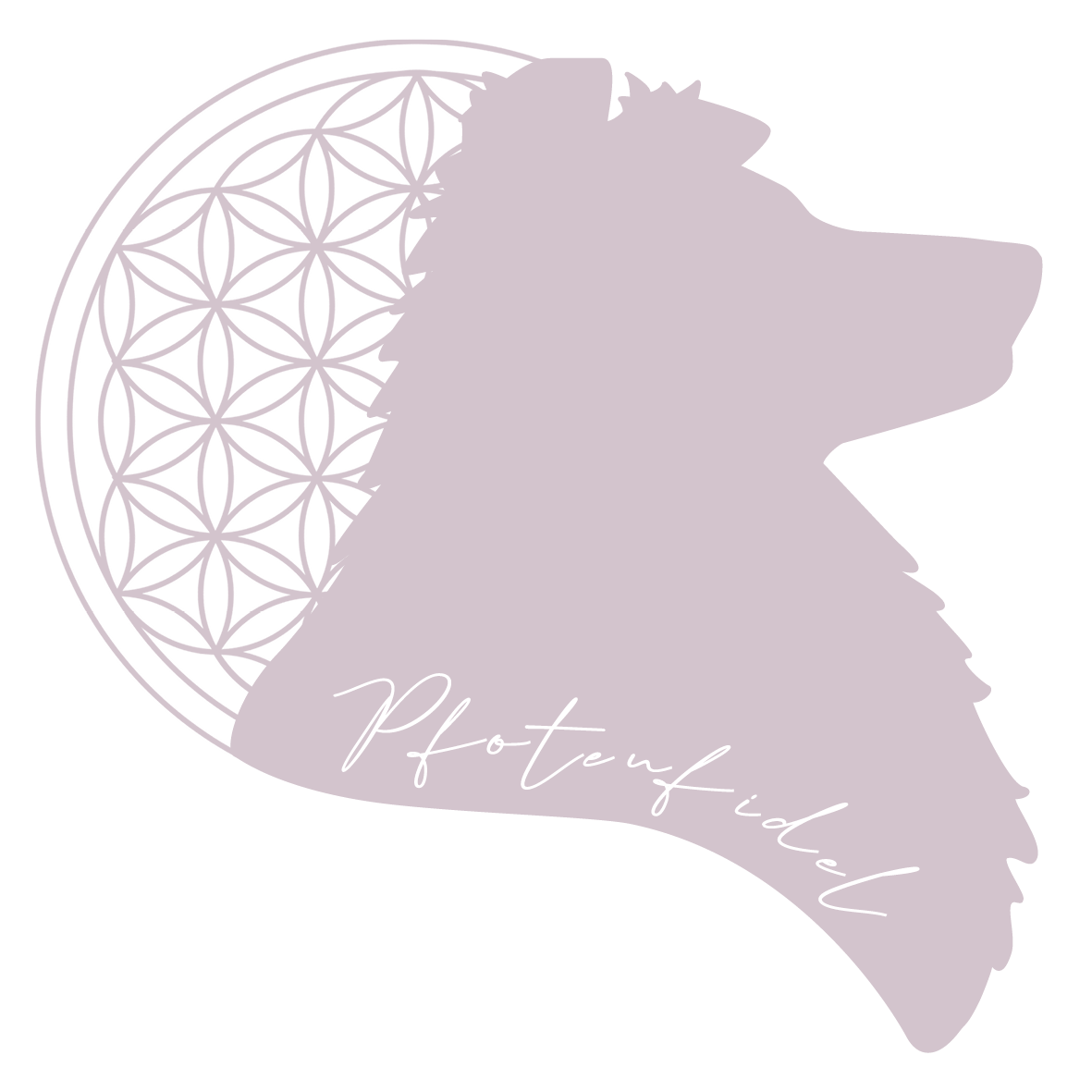 Pfotenfidellogo Pfotenfidellogo
Herzlich Willkommen auf Pfotenfidel