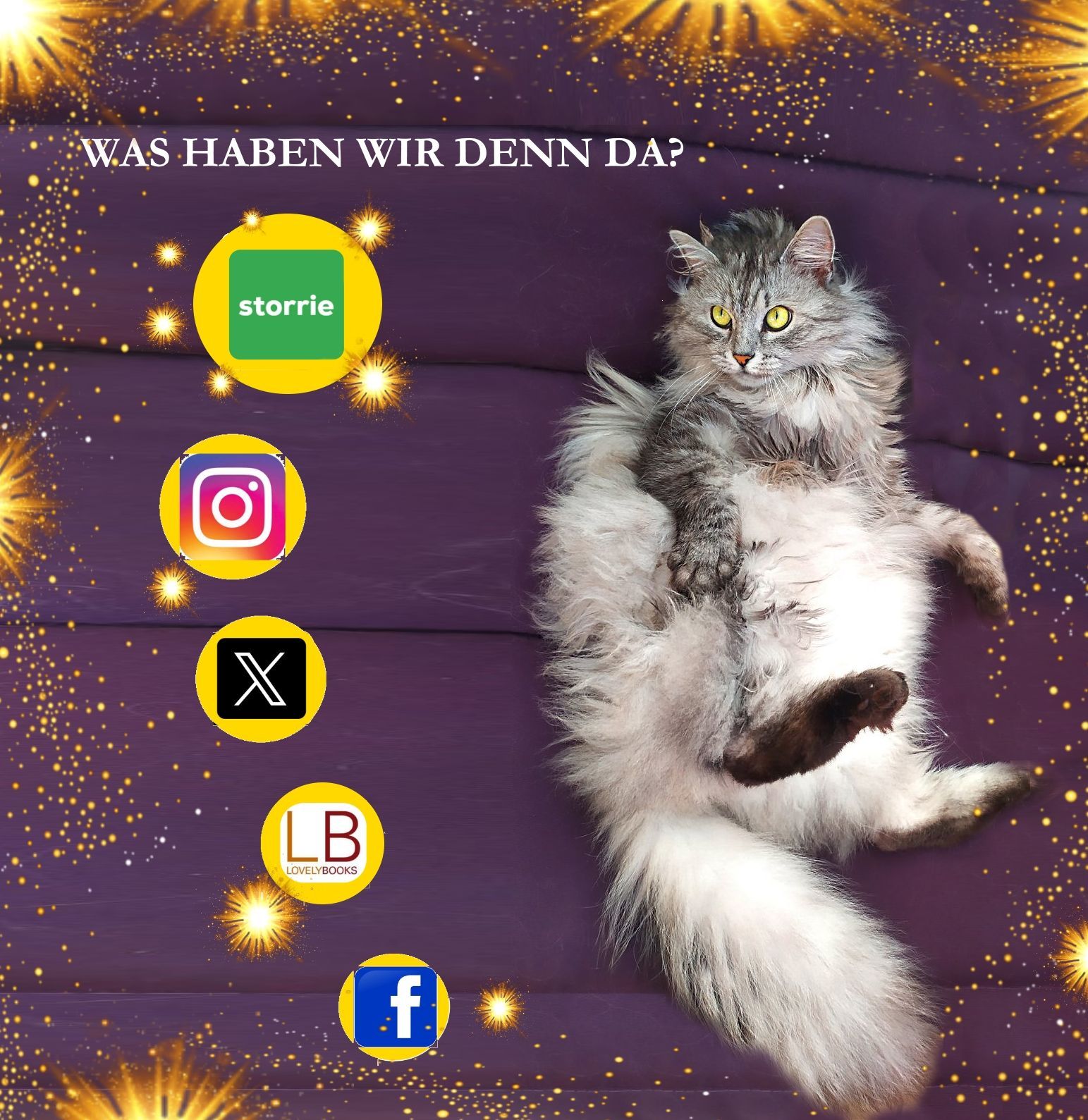 Katze und Social Media Instagram Twitter Storrie