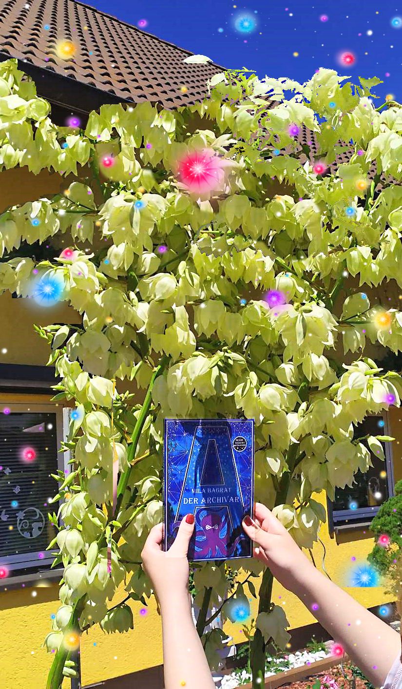 Yucca Palme Der Archivar Mila Bagrat Buch Fantasy