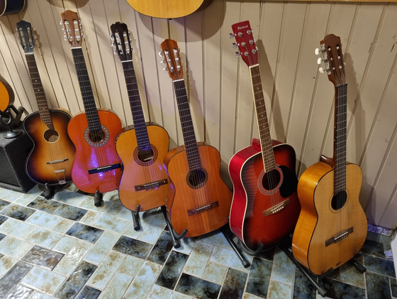 Gitarren Kollektion Wolterhoff