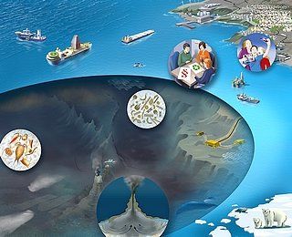 MeBo200 © Bauer GmbH