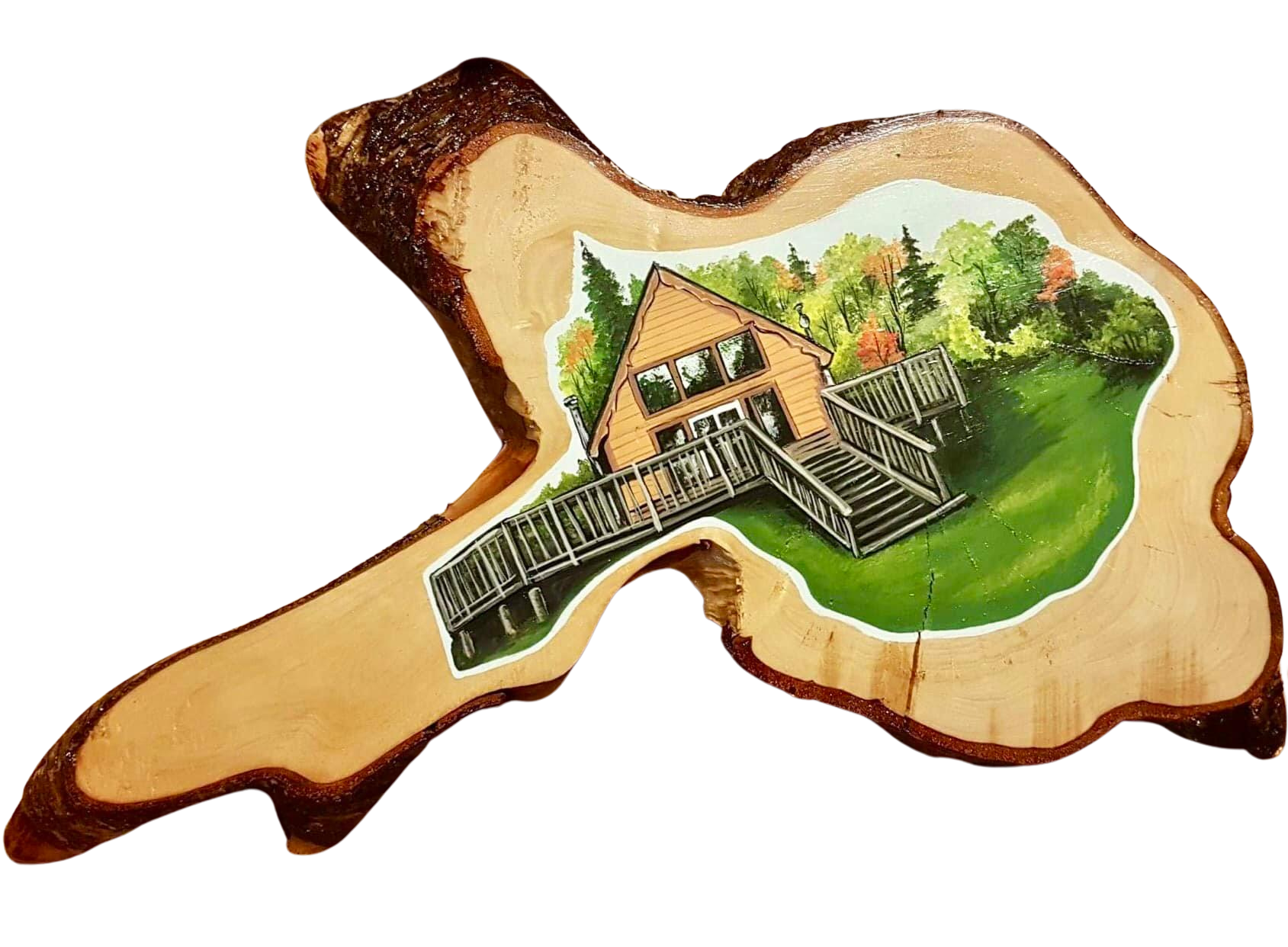 Portfolio of Commissioned Artwork