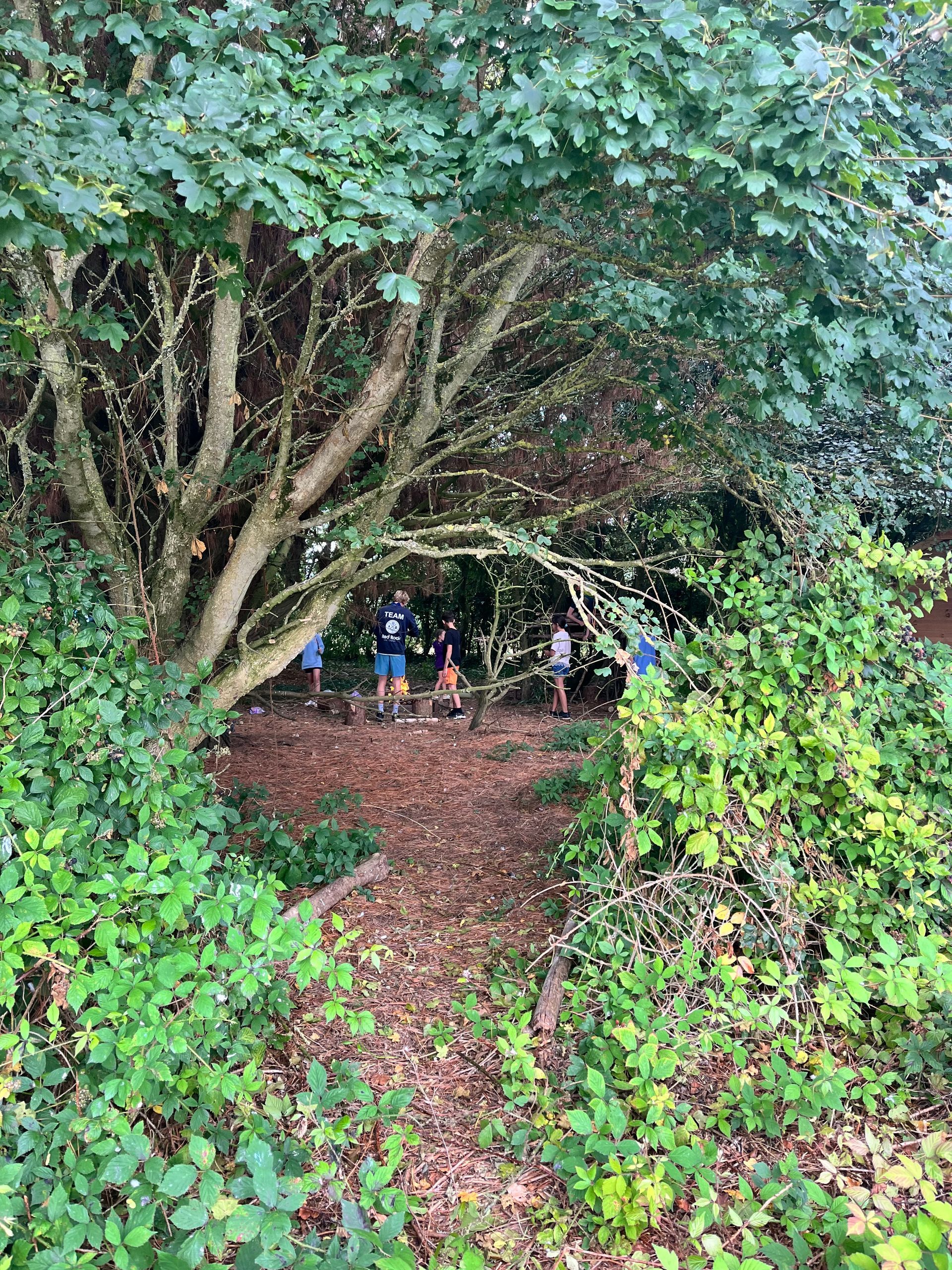 Inspiring Growth and Well-being Through Outdoor Play