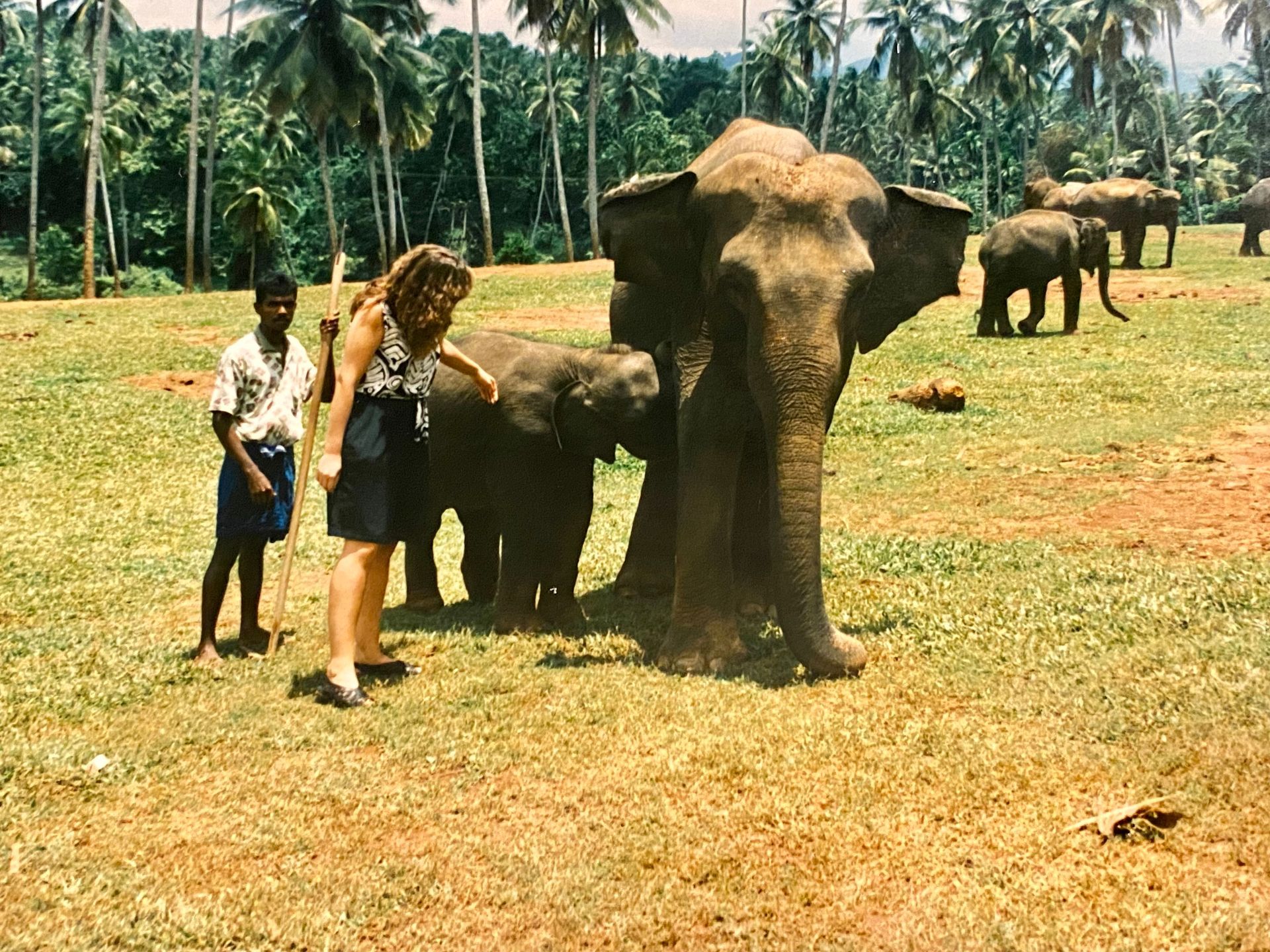 Frau steht neben einem Elefanten und einem Elefantenbaby auf einer großen Wiese, umgeben von Palmen, in einem Elefantenwaisenhaus. Ein Mann mit einem Stock beobachtet die Szene im Hintergrund.
Woman stands next to an elephant and a baby elephant in a large meadow surrounded by palm trees in an elephant orphanage. A man with a stick watches the scene in the background.
@Andrea Heidi Lagler – GEOlaViva