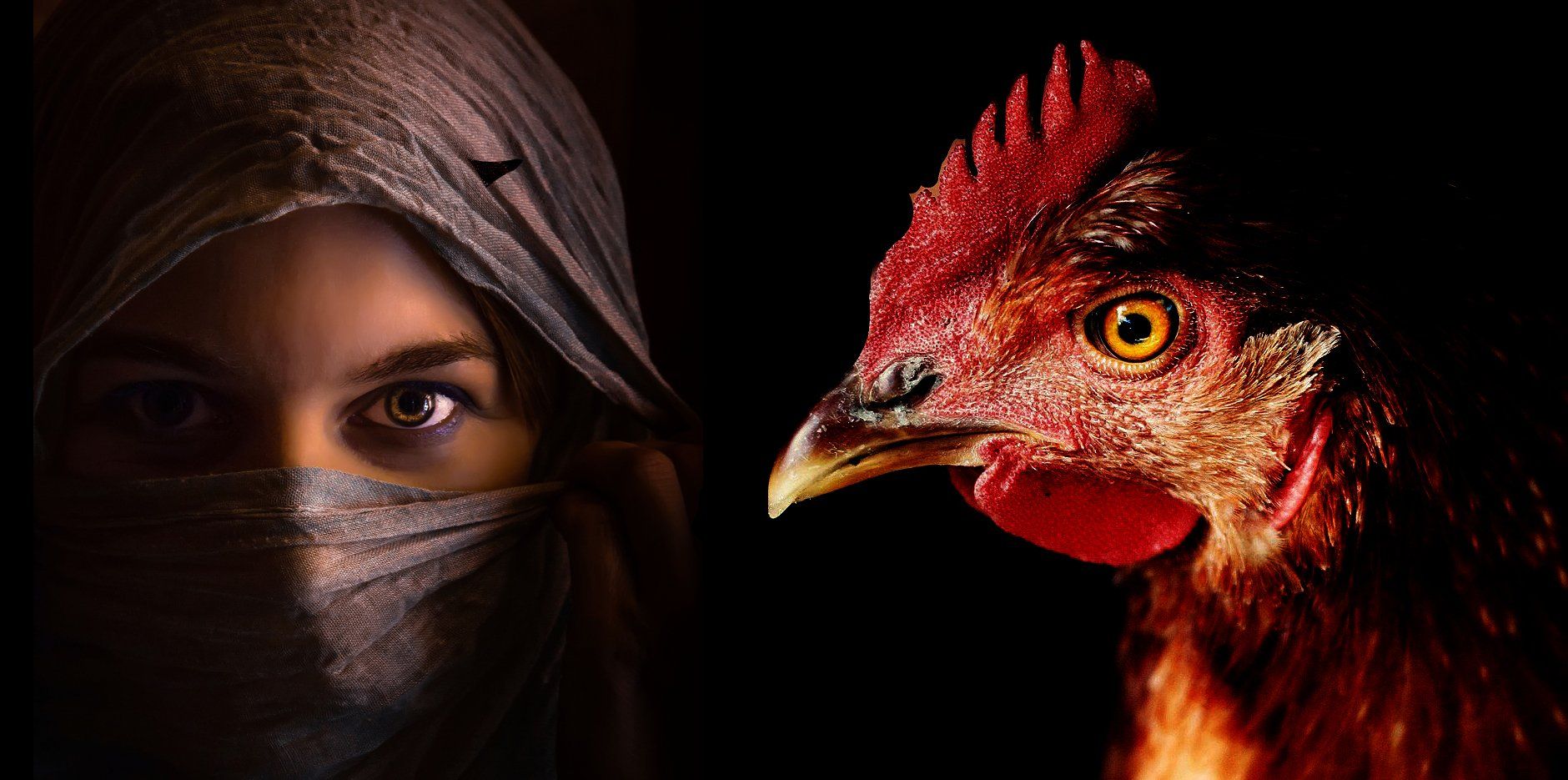 Huhn Orient Huhn Orient