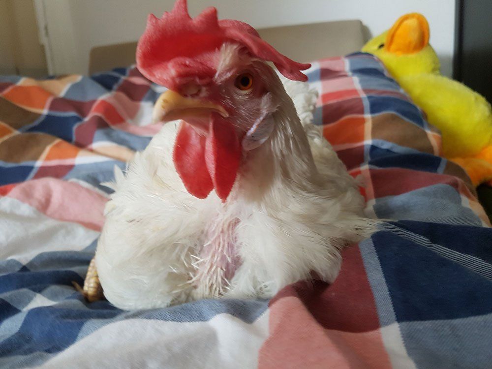 Hutschimutsch im Bett Hutschimutsch im Bett. Wir vermissen dich so sehr mein Schatz.