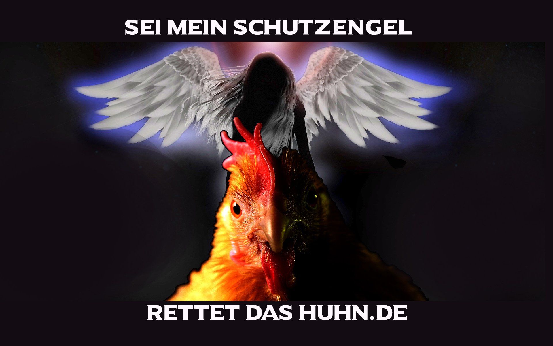 Rettet das Huhn Rettet das Huhn