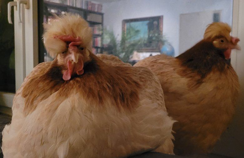 Hutschimutsch im Bett Hutschimutsch im Bett. Wir vermissen dich so sehr mein Schatz.