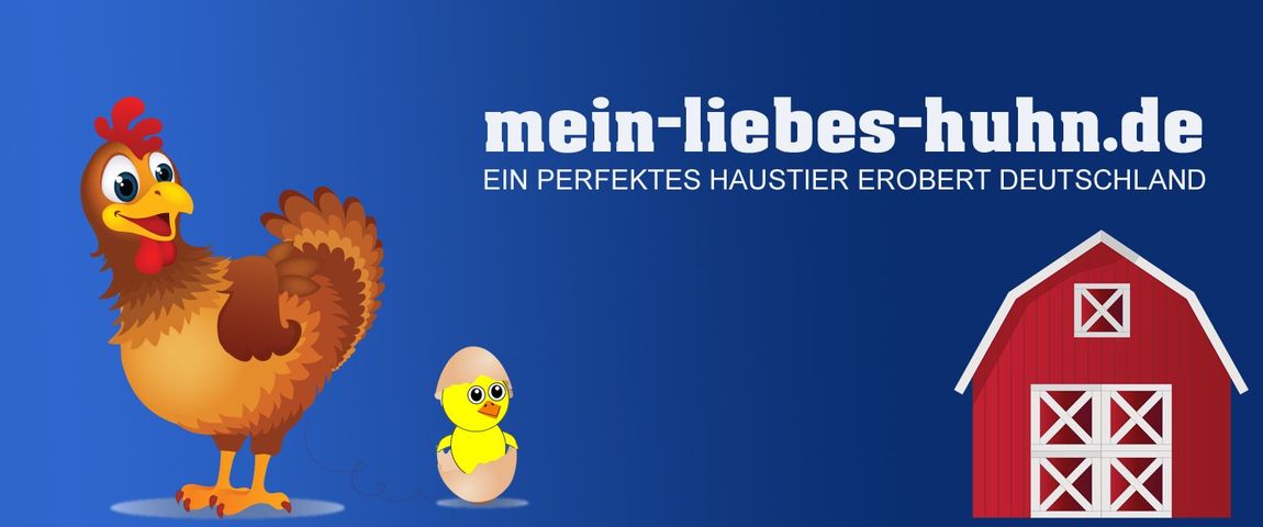 Mein-liebes-Huhn.de. Ein perfektes Haustier erobert Deutschland.