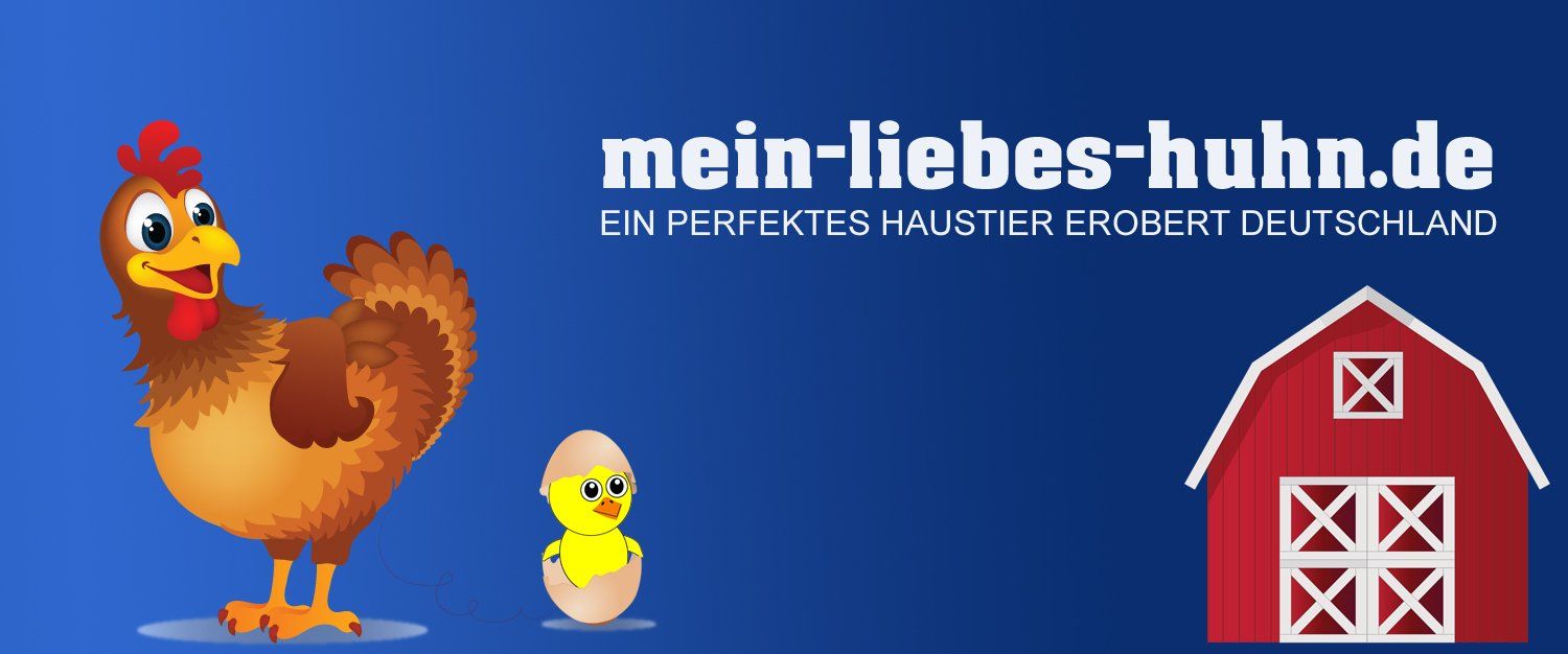 Mein-liebes-Huhn.de. Ein perfektes Haustier erobert Deutschland. Mein-liebes-Huhn.de. Ein perfektes Haustier erobert Deutschland.