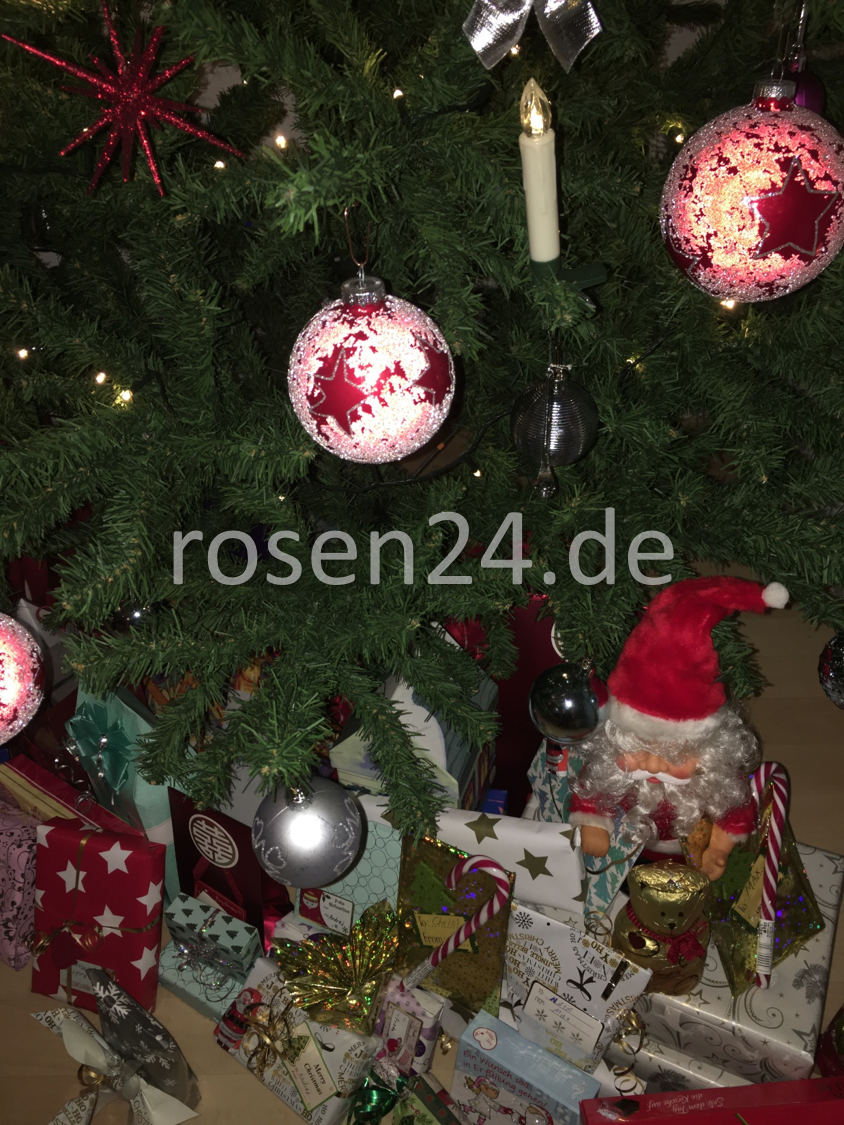 Tannenbaum Geschenke